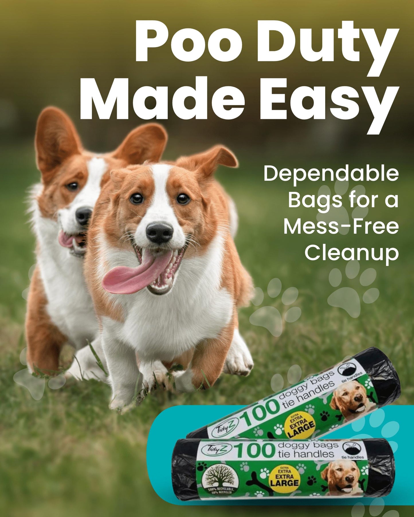 Tidyz Doggy Poop Bags with Tie Handles and Dog Health Tips Leaflet 4 Packs x 100 (30 cm x 36 cm)